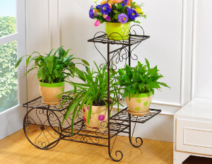 Flower display rack (FR-03)