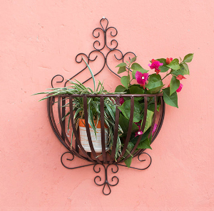 Flower display rack (FR-21)