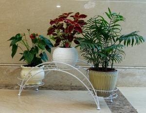 Flower display rack (FR-13)